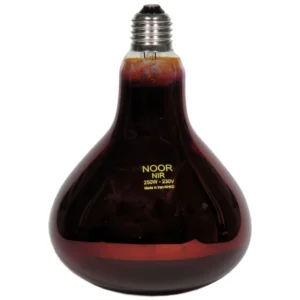 لامپ ۲۵۰ وات مادون قرمز حرارتی نور