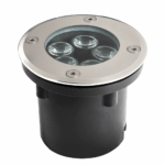 rasam-dafni-RL 105-1