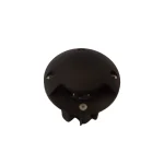 rasam-dafni-RL103_DR1