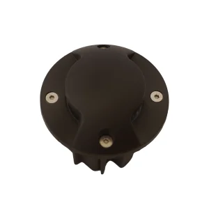 rasam-dafni-RL103_DR2