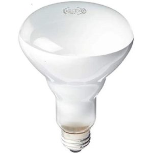 philips-100w-post jive ee