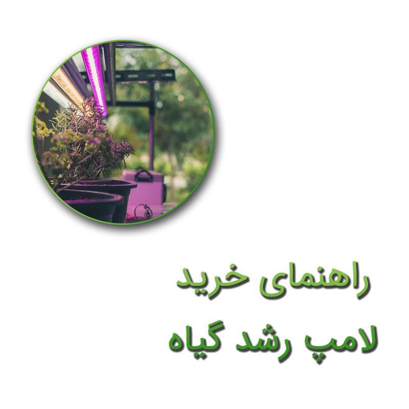 راهنمای خرید لامپ رشد گیاه و نحوه استفاده از آن