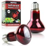 لامپ مادون قرمز 50 وات لاکی هرپ