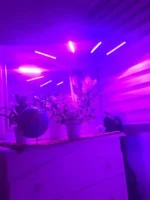 چراغ رشد گیاه 40 وات مدل Quad Head - Image 3