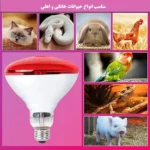 لامپ مادون قرمز 250 وات لاکی هرپ مدل INFRARED-220V-250W-E27 - Image 4