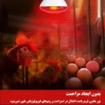 لامپ مادون قرمز 250 وات لاکی هرپ مدل INFRARED-220V-250W-E27