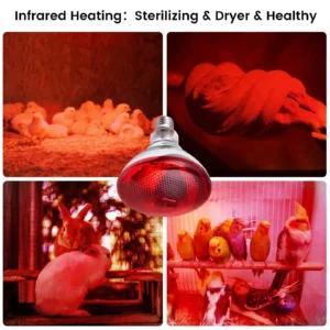 راهنمای استفاده از لامپ های مادون قرمز (حرارتی) در مرغداری ها و اماکن دامپروری